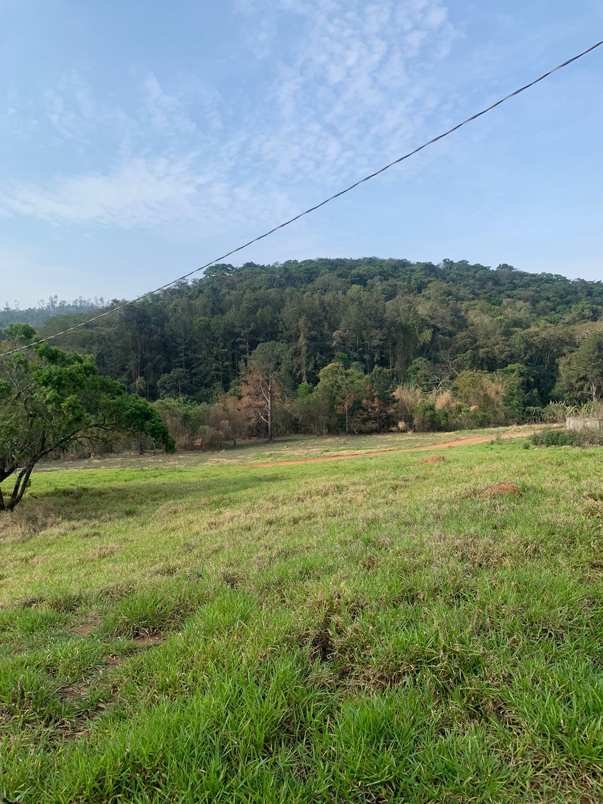 Paisagem 1