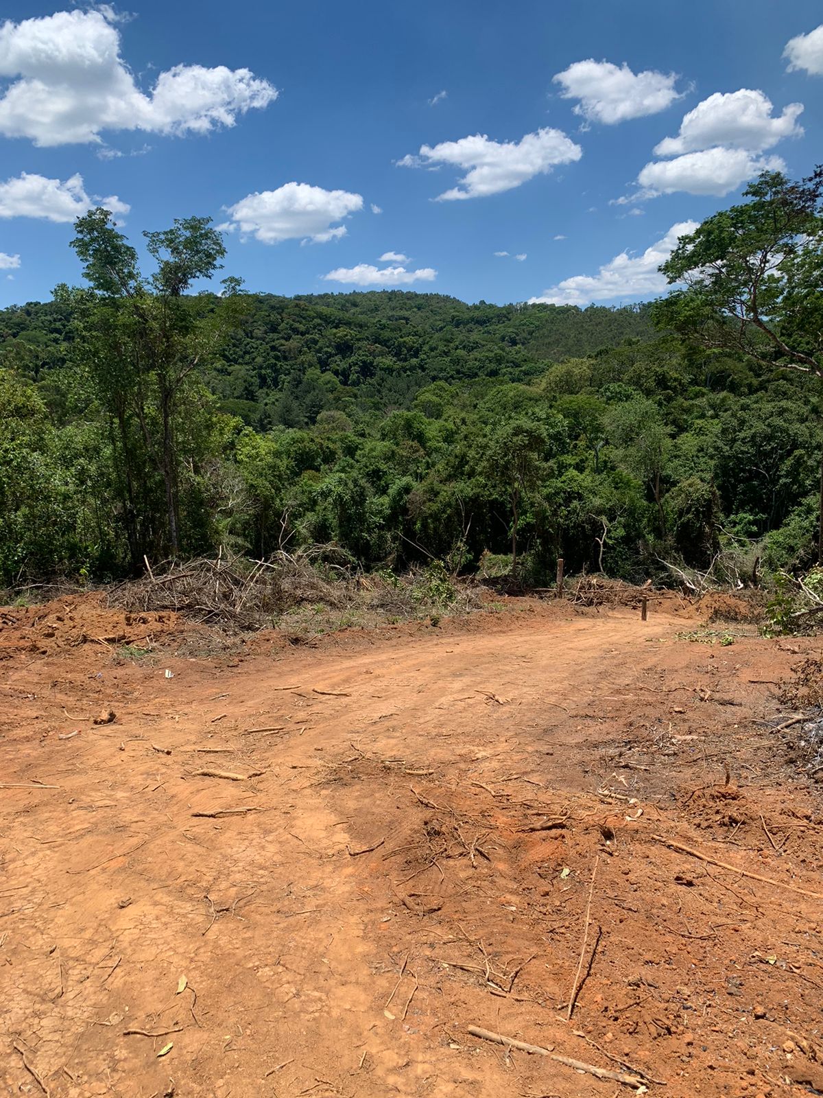 Paisagem 11