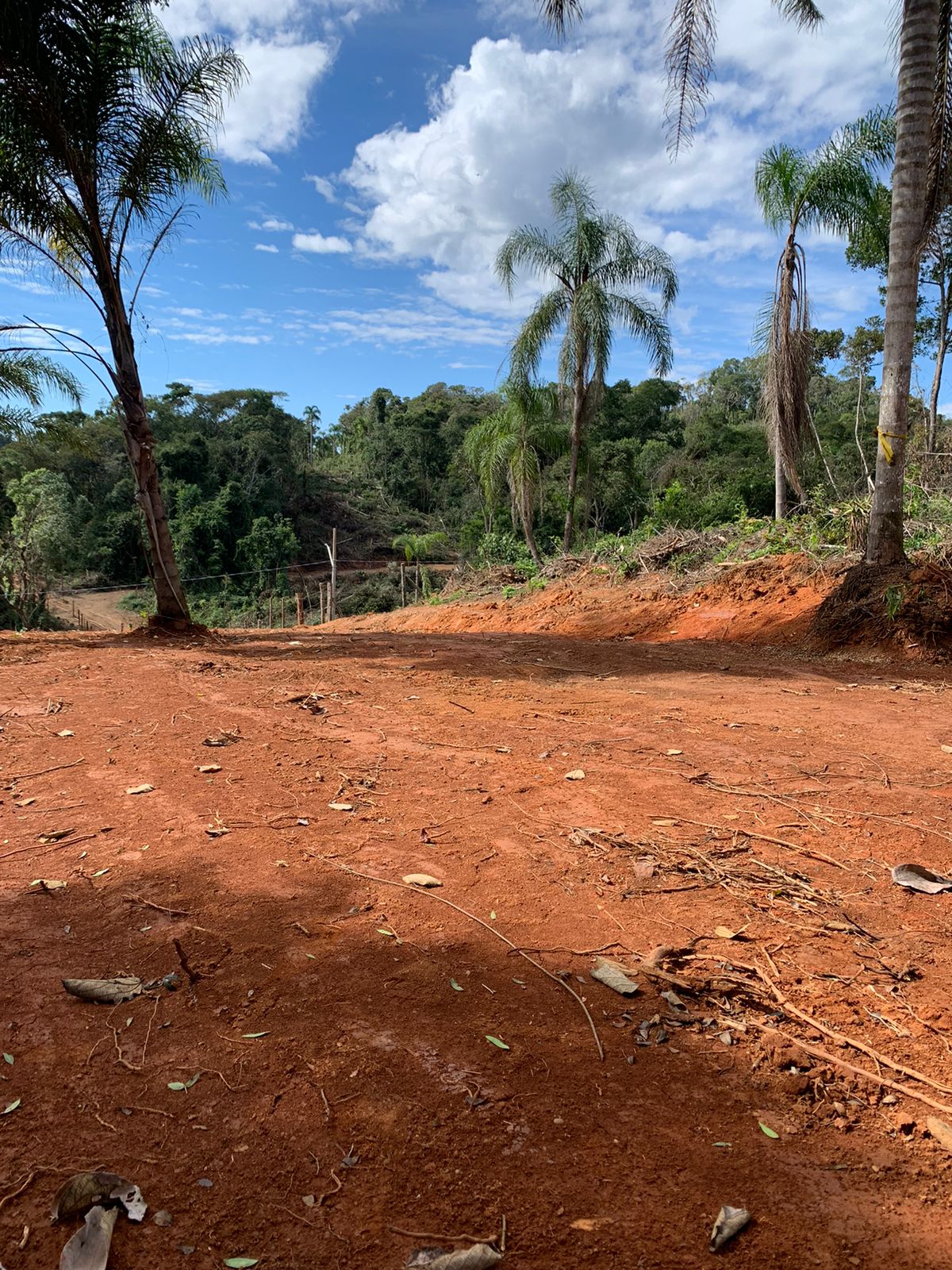Paisagem 12