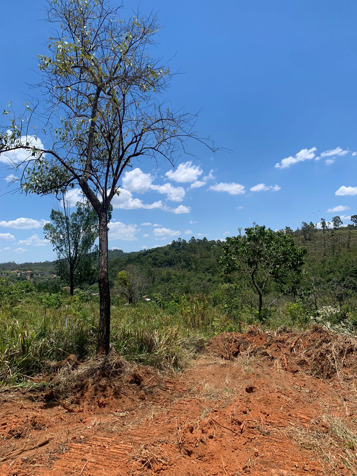 Paisagem 13