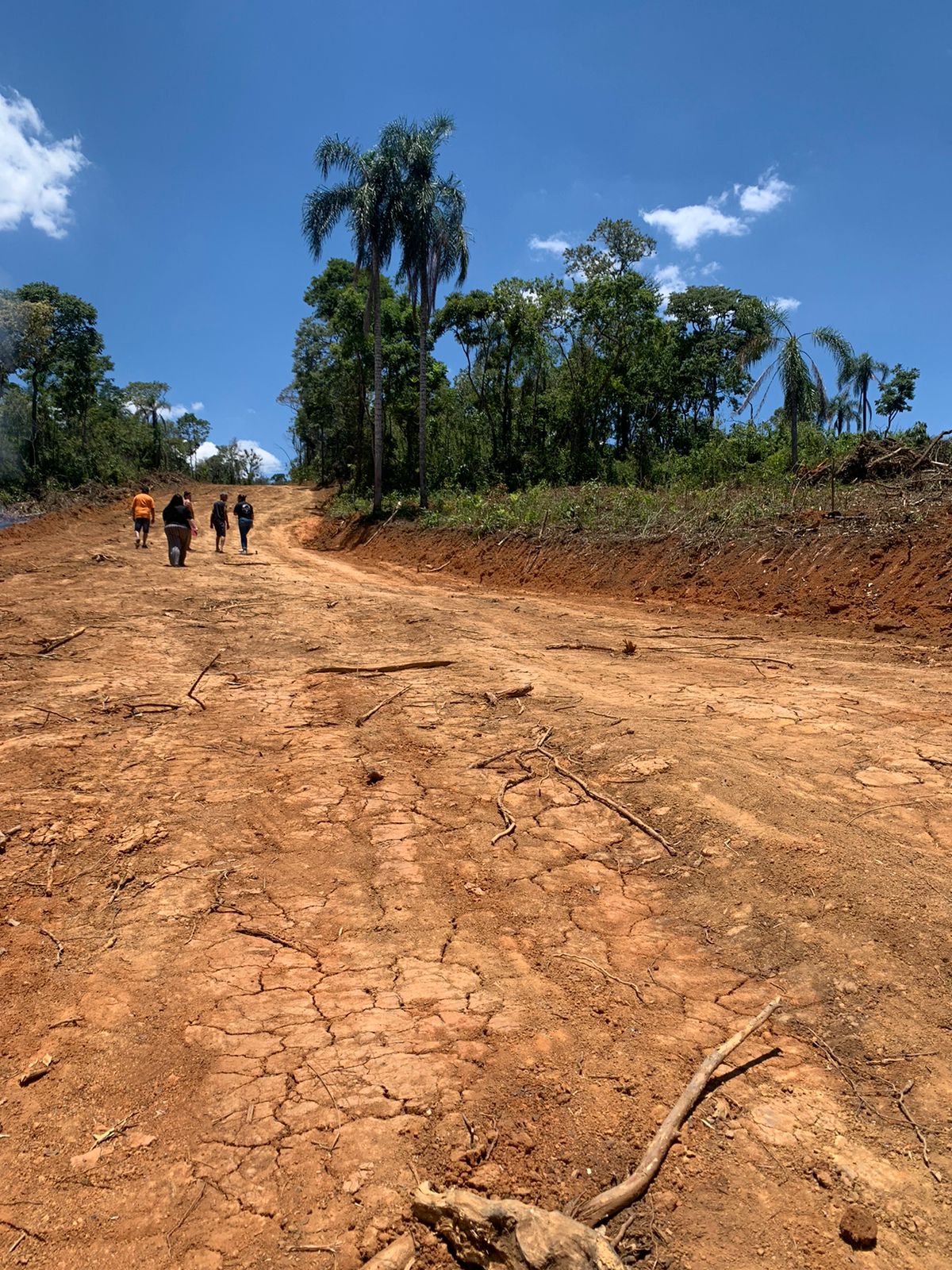 Paisagem 14