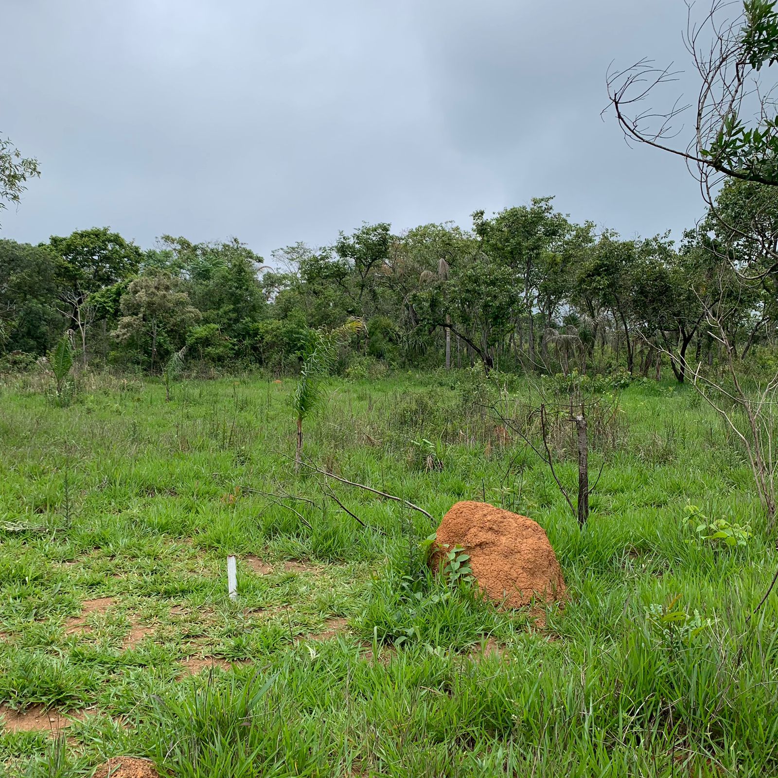 Paisagem 15