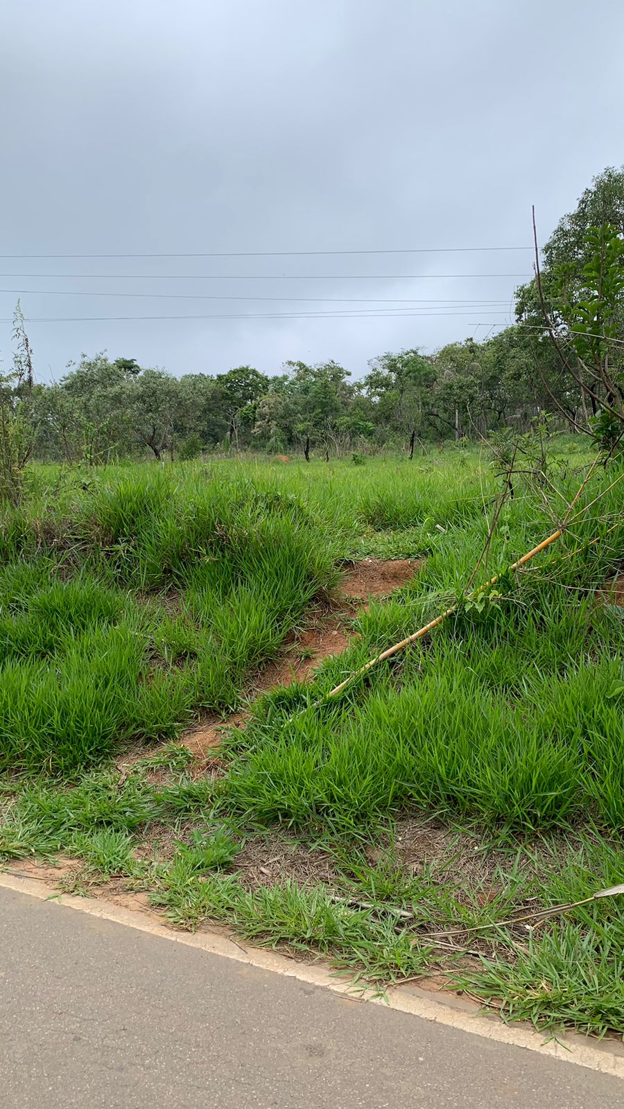 Paisagem 16