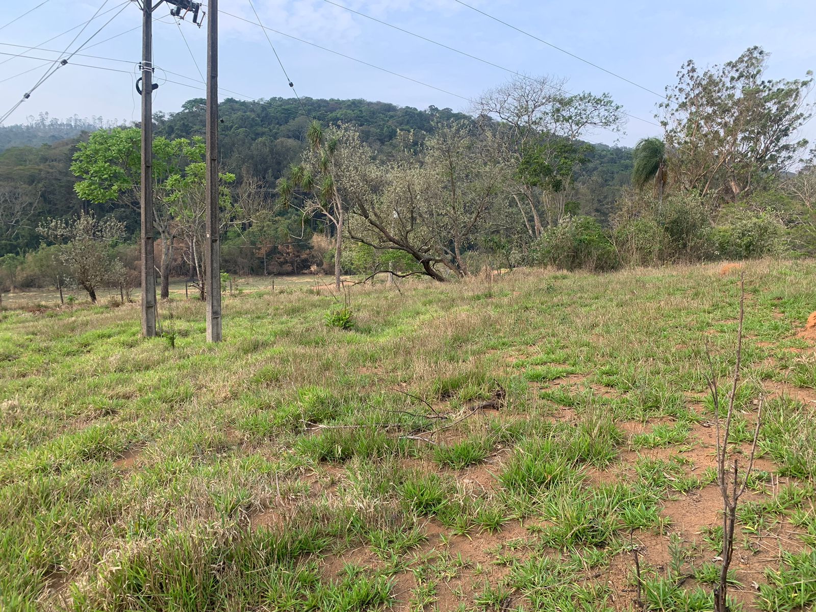 Paisagem 17