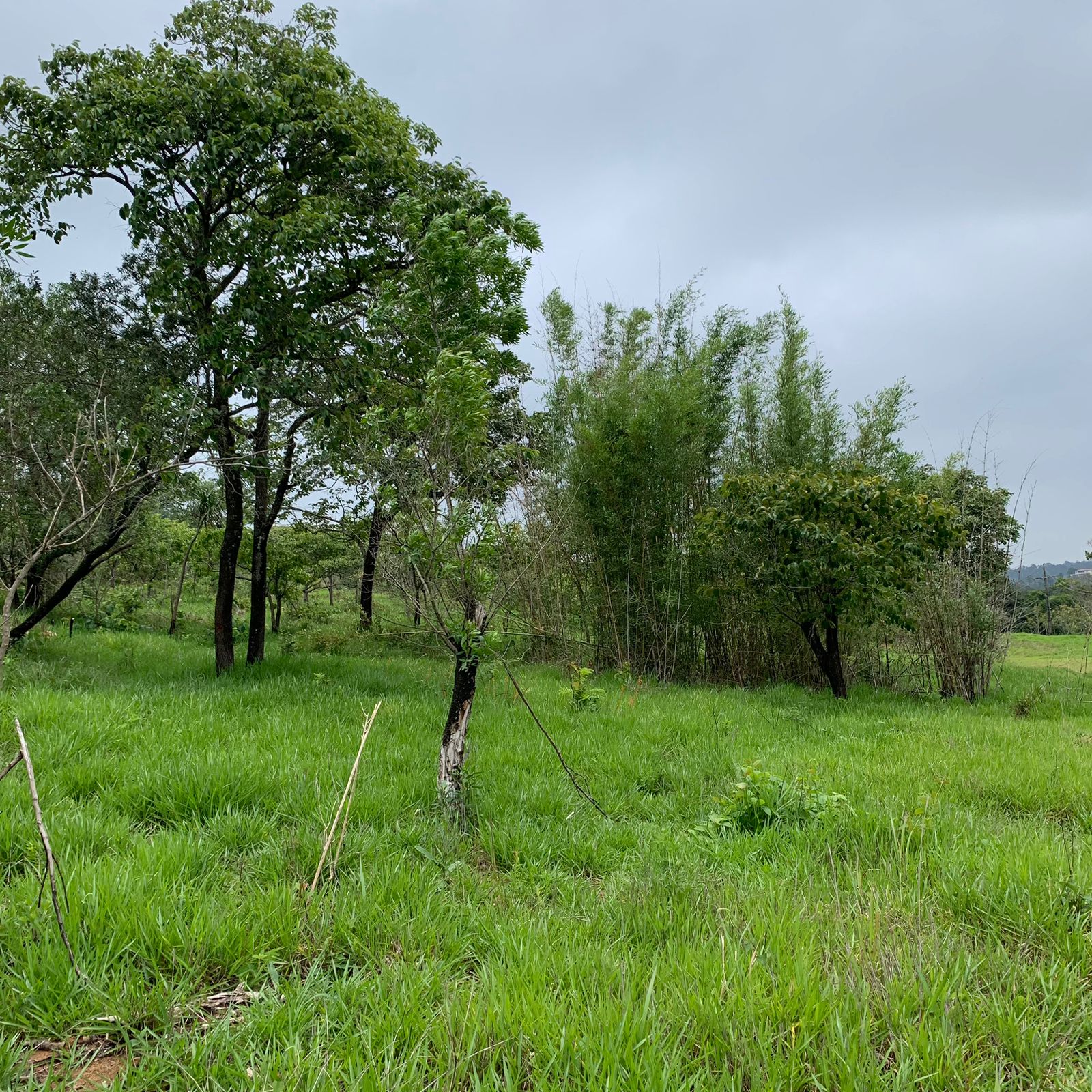 Paisagem 3
