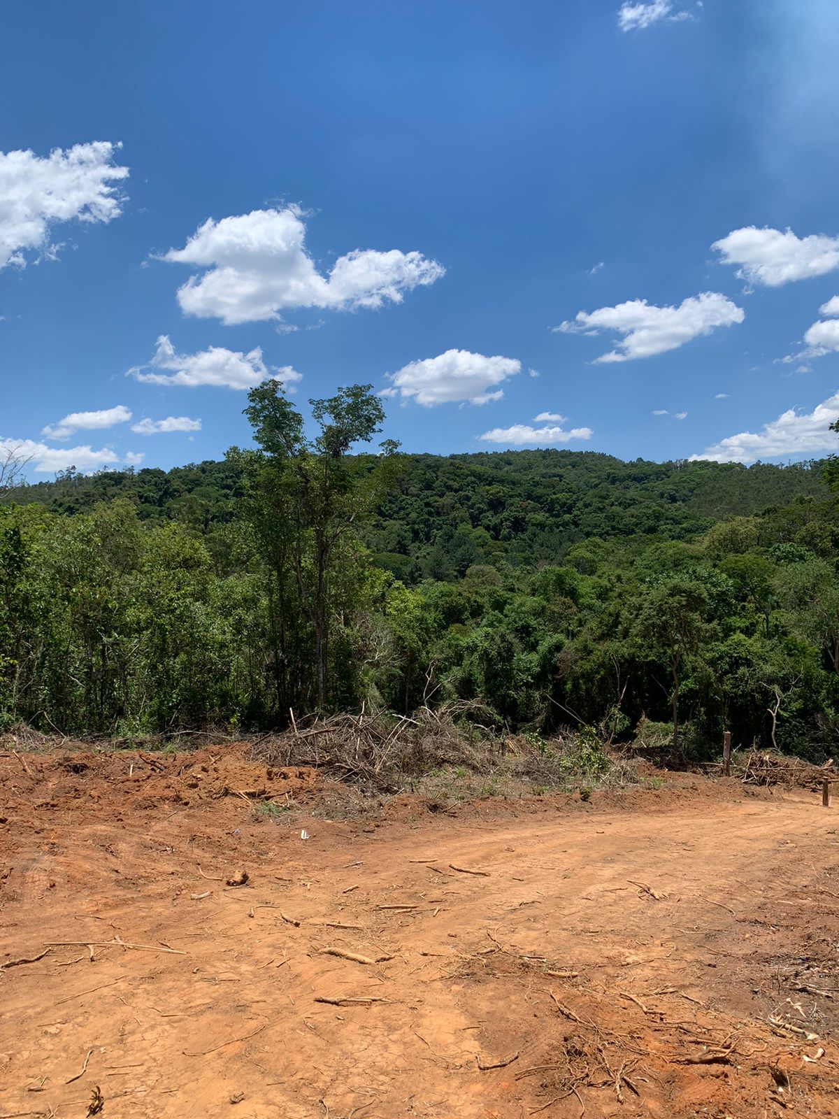 Paisagem 4