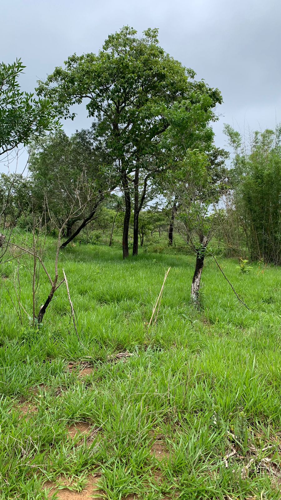 Paisagem 5
