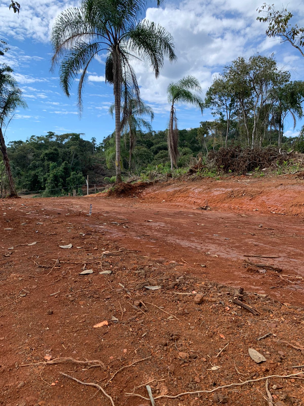 Paisagem 8